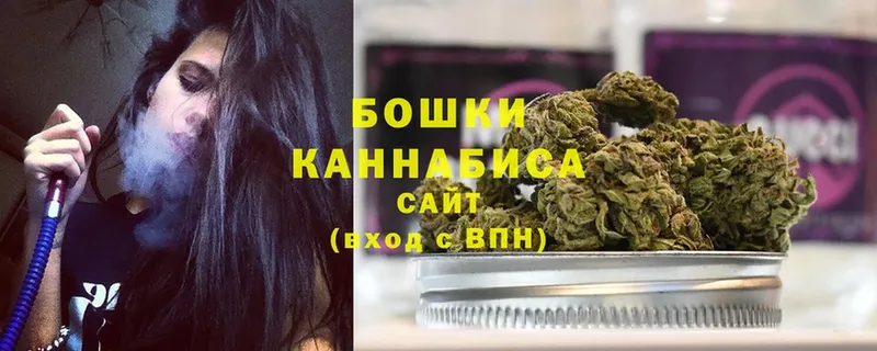 где купить наркоту  Жуковский  Марихуана Amnesia 